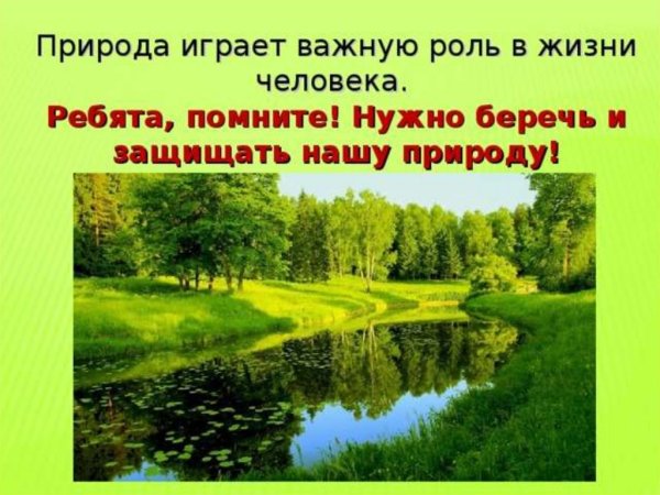 Как беречь природу