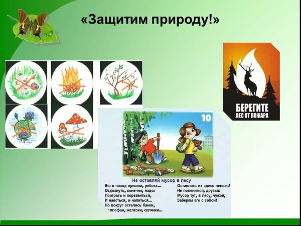 Слоган про природу