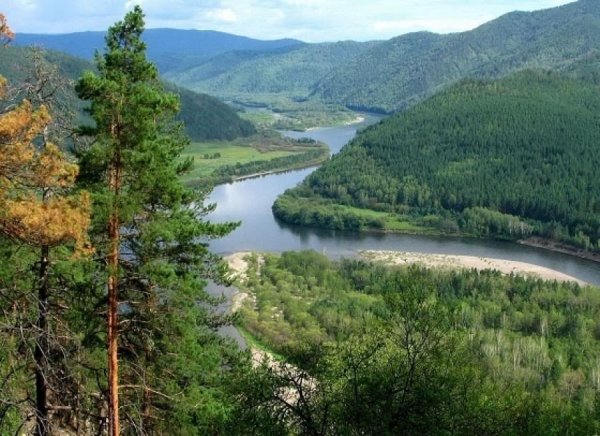Тайга Забайкальского края