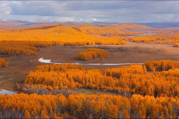 Тайга осенью Забайкалье