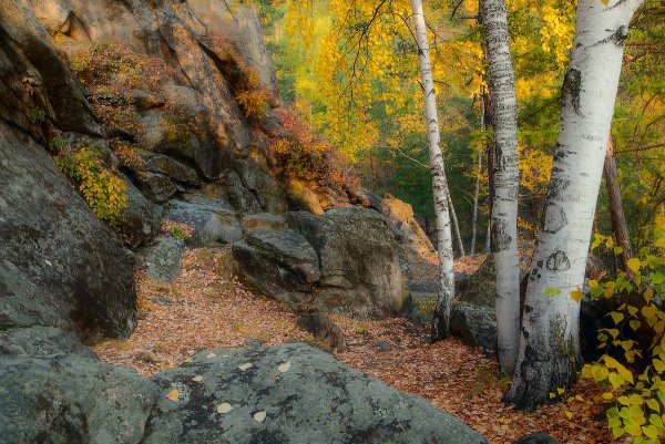 Забайкальский край осень