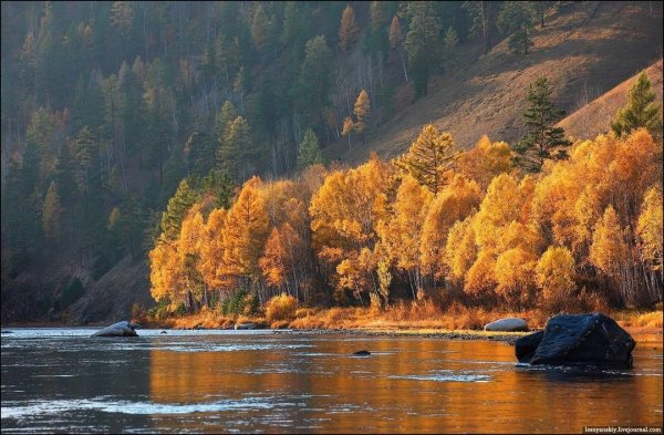 Река Витим Иркутская область