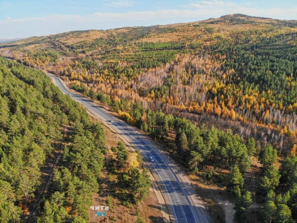 Тайга Забайкальского края