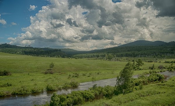 Еравнинская лесостепь Забайкалье