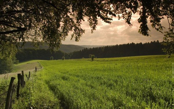 Русская природа