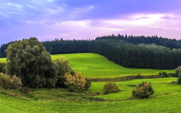 Луга Эстонии