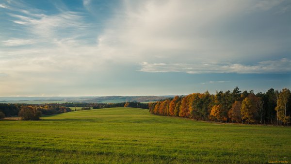 Осеннее поле