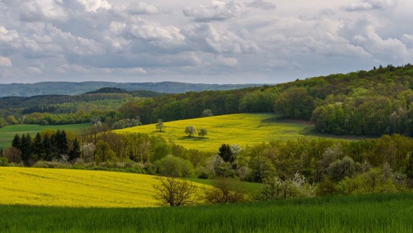 Родные просторы Пушгоры панорама