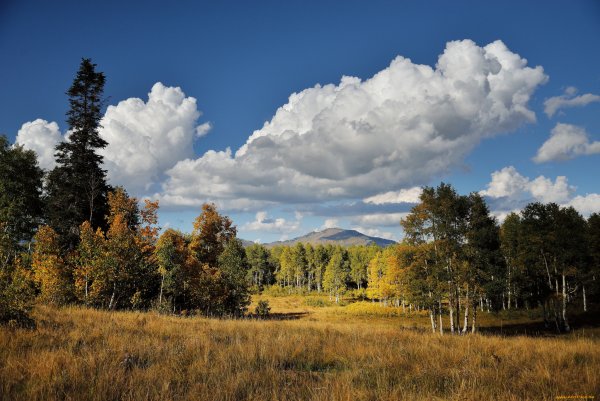 Дорога в поле