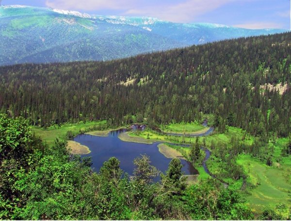 Кемеровская область Кузбасс природа