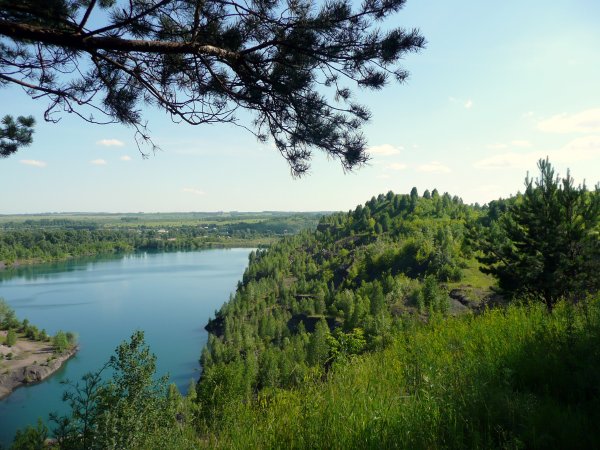 Природа Кузбасса