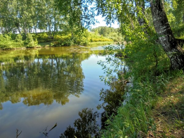 Кемерово природа