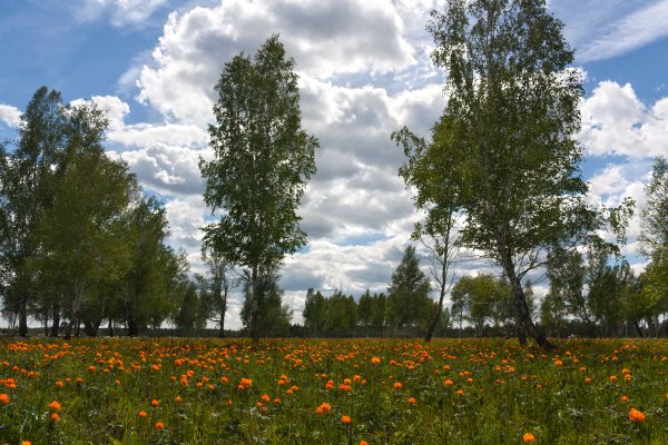 Красивая природа средняя полоса России