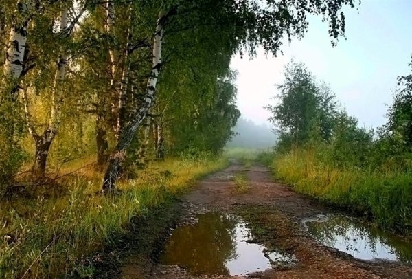 Пейзажи средней полосы России