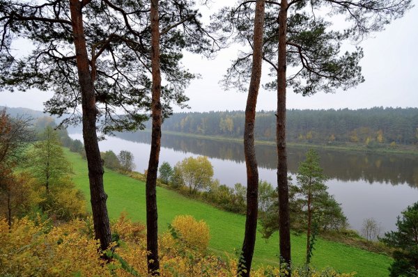 Реки Литвы