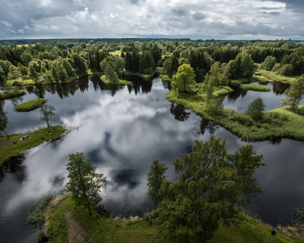 Озеро Вейонис Литва