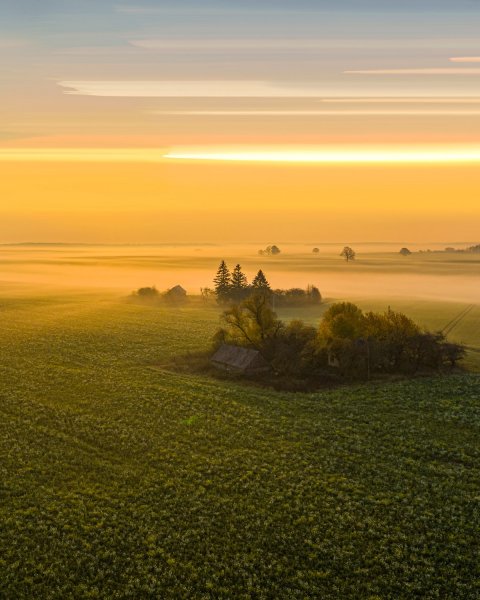 Прибалтика природа