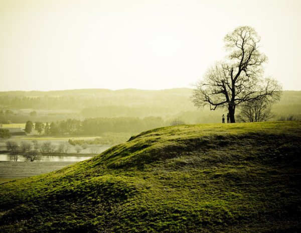 Cinematic Stone Lithuania nature