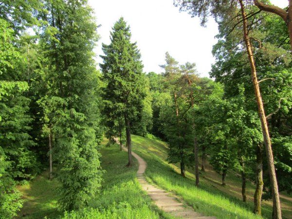 Растительный мир Литвы
