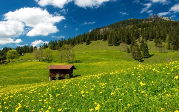 Альпийские Луга Германии