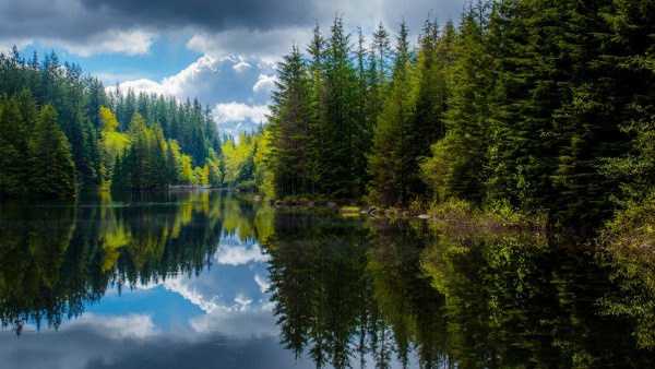 Национальный парк Маунт-Рейнир, Вашингтон, США