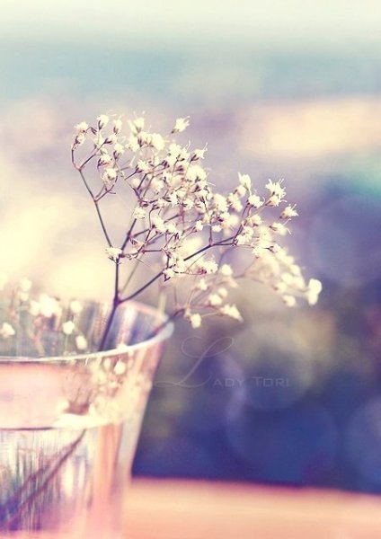 Розовое небо