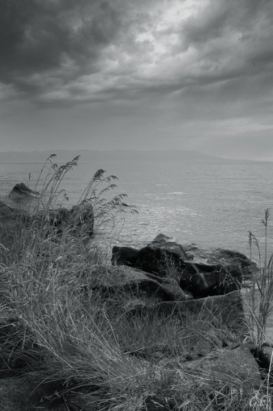 Депрессия природа