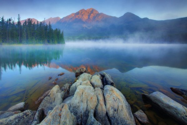 Живая природа