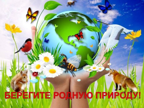 Берегите природу для детей