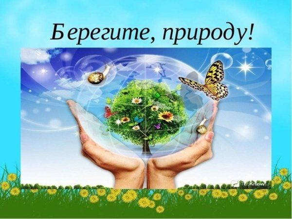 Рисунок на тему сохраним природу