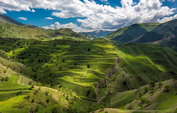 Предгорье Дагестана