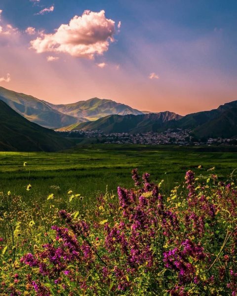 Ферганская Долина природа