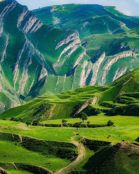 Село Беной Чеченская Республика
