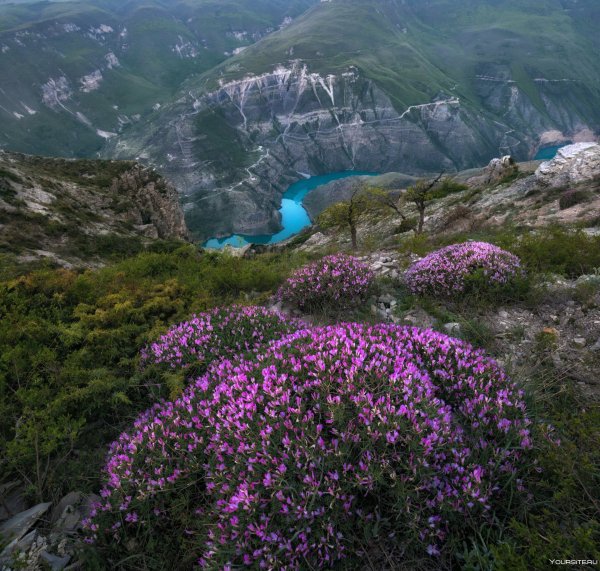 Село Кахиб Дагестан