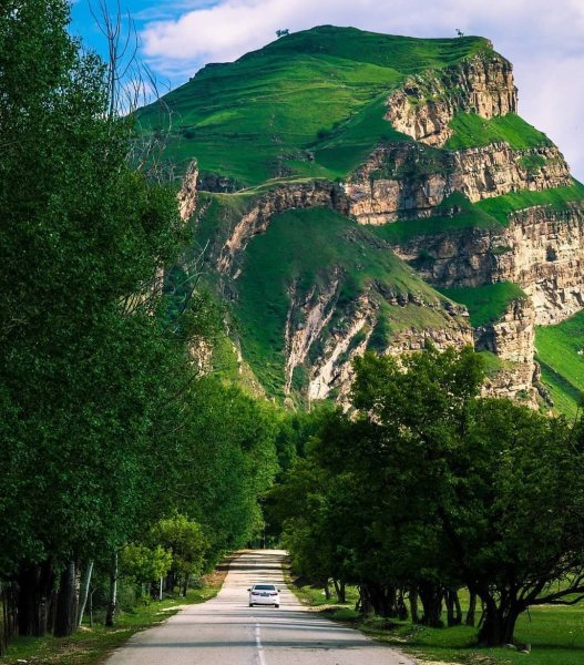 Луга Дагестана Альпийские Дагестана