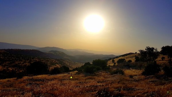 Иракский Курдистан природа