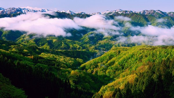 Горно Лесные районы Хонсю