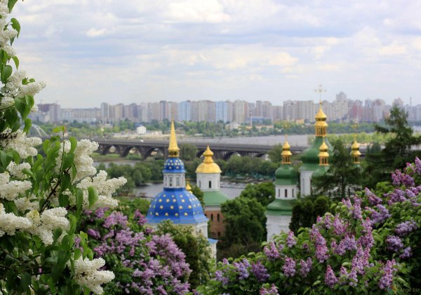 Киевская область природа