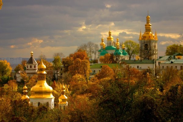 Природа России Березовая роща
