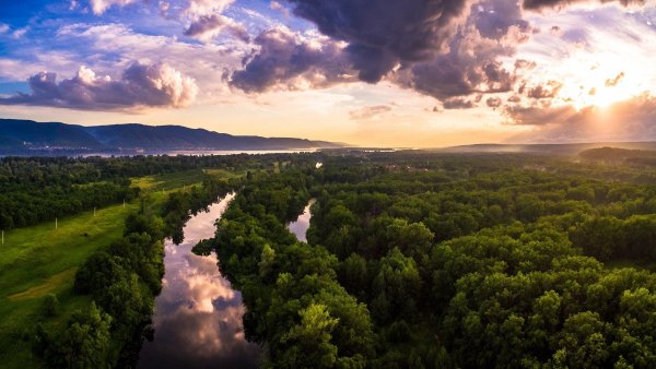 Покрова на Нерли во Владимире