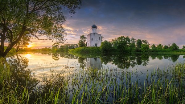 Луг у реки Воронежского края