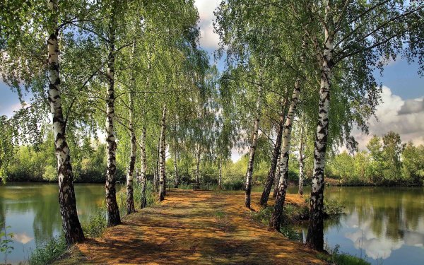 Самарская область мастюкинские озера