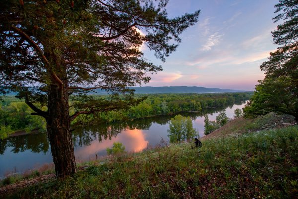 Раннее летнее утро