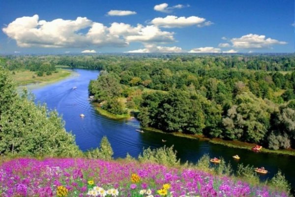Майкоп березовый лес с озером