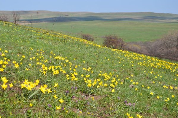 Провальская степь Луганская область Королевские скалы