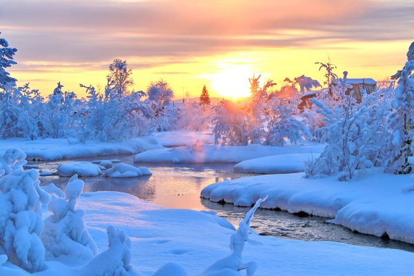 Красота зимы