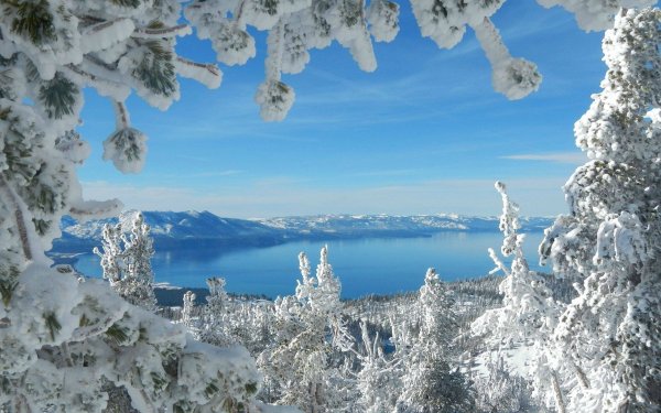 Зима фото