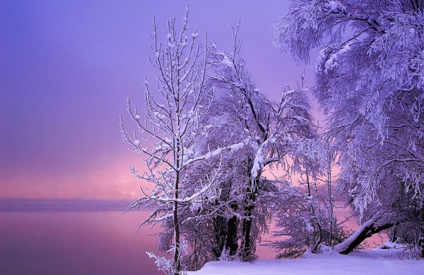 Красивые пейзажи зимы