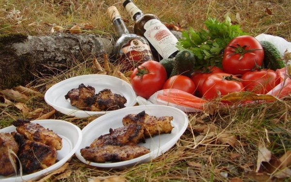 Застолье с шашлыком