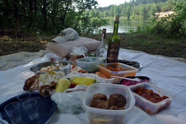 Застолье с шашлыком